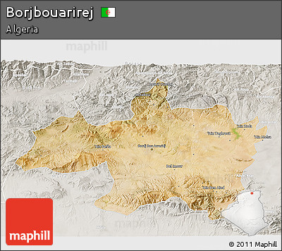 Satellite 3D Map of Borjbouarirej, lighten, semi-desaturated