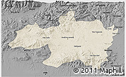 Shaded Relief 3D Map of Borjbouarirej, darken, desaturated