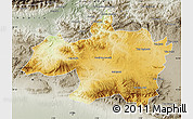 Physical Map of Borjbouarirej, semi-desaturated