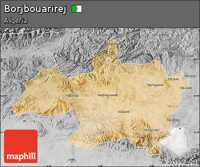 Satellite Map of Borjbouarirej, desaturated