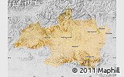 Satellite Map of Borjbouarirej, lighten, desaturated
