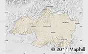 Shaded Relief Map of Borjbouarirej, lighten, desaturated