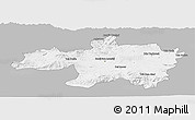 Gray Panoramic Map of Borjbouarirej, single color outside