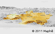 Physical Panoramic Map of Borjbouarirej, lighten, desaturated