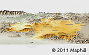 Physical Panoramic Map of Borjbouarirej, semi-desaturated