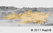 Satellite Panoramic Map of Borjbouarirej, desaturated