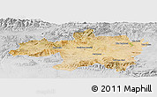 Satellite Panoramic Map of Borjbouarirej, lighten, desaturated
