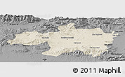 Shaded Relief Panoramic Map of Borjbouarirej, darken, desaturated