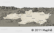 Shaded Relief Panoramic Map of Borjbouarirej, darken