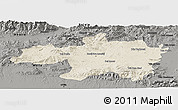 Shaded Relief Panoramic Map of Borjbouarirej, darken, semi-desaturated