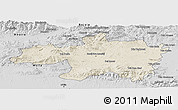 Shaded Relief Panoramic Map of Borjbouarirej, desaturated