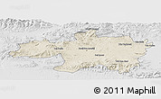 Shaded Relief Panoramic Map of Borjbouarirej, lighten, desaturated