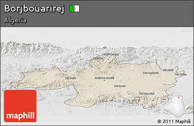 Shaded Relief Panoramic Map of Borjbouarirej, lighten, semi-desaturated