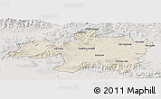 Shaded Relief Panoramic Map of Borjbouarirej, lighten, semi-desaturated