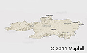 Shaded Relief Panoramic Map of Borjbouarirej, single color outside
