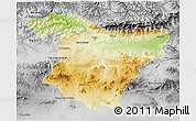 Physical 3D Map of Bouira, desaturated