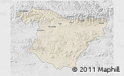 Shaded Relief 3D Map of Bouira, lighten, desaturated