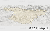 Shaded Relief Panoramic Map of Bouira, lighten, semi-desaturated