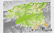 Physical 3D Map of Chlef, desaturated