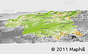 Physical Panoramic Map of Chlef, desaturated