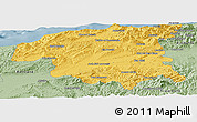 Savanna Style Panoramic Map of Chlef