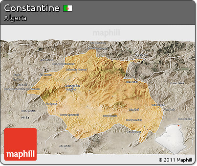 Satellite 3D Map of Constantine, semi-desaturated