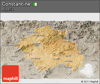 Satellite 3D Map of Constantine, semi-desaturated