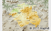 Physical Map of Constantine, semi-desaturated