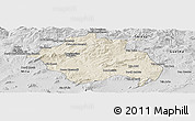 Shaded Relief Panoramic Map of Constantine, desaturated