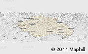 Shaded Relief Panoramic Map of Constantine, lighten, desaturated