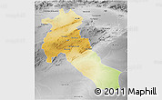 Physical 3D Map of Djelfa, desaturated