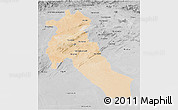 Satellite 3D Map of Djelfa, desaturated