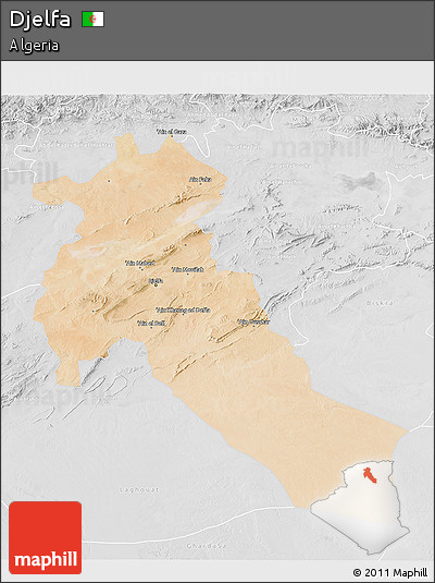 Satellite 3D Map of Djelfa, lighten, desaturated