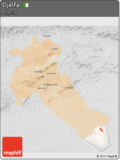 Satellite 3D Map of Djelfa, lighten, desaturated