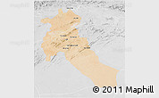Satellite 3D Map of Djelfa, lighten, desaturated