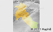 Physical Map of Djelfa, desaturated