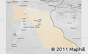 Satellite 3D Map of El Oued, desaturated