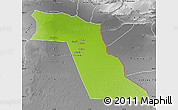 Physical Map of El Oued, desaturated