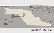 Shaded Relief Panoramic Map of El Oued, darken, semi-desaturated