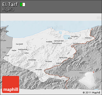 Gray 3D Map of El Tarf