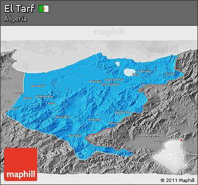 Political 3D Map of El Tarf, desaturated