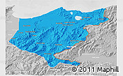 Political 3D Map of El Tarf, lighten, desaturated