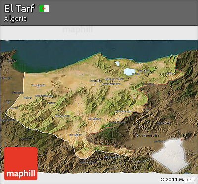 Satellite 3D Map of El Tarf, darken