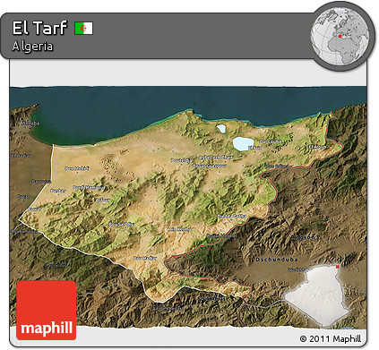 Satellite 3D Map of El Tarf, darken