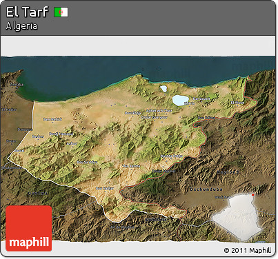 Satellite 3D Map of El Tarf, darken