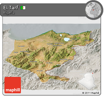 Satellite 3D Map of El Tarf, lighten, semi-desaturated