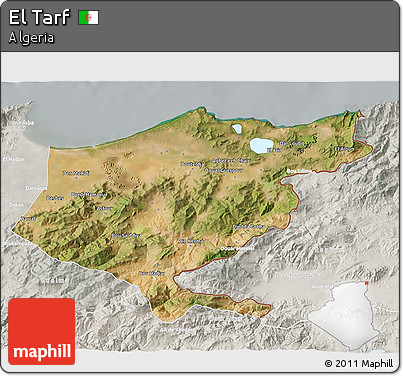 Satellite 3D Map of El Tarf, lighten, semi-desaturated