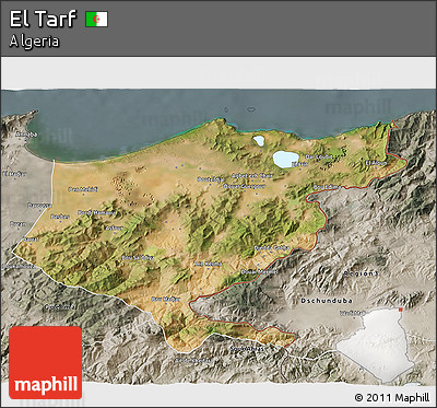 Satellite 3D Map of El Tarf, semi-desaturated