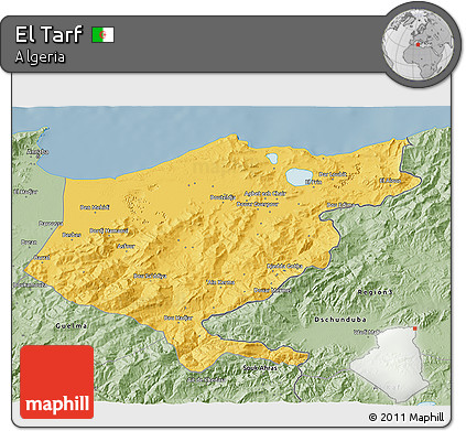 Savanna Style 3D Map of El Tarf