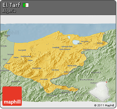 Savanna Style 3D Map of El Tarf